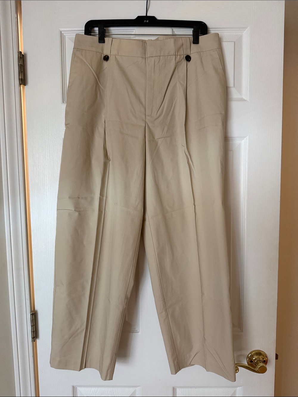Zara Tan Pleated Chinos